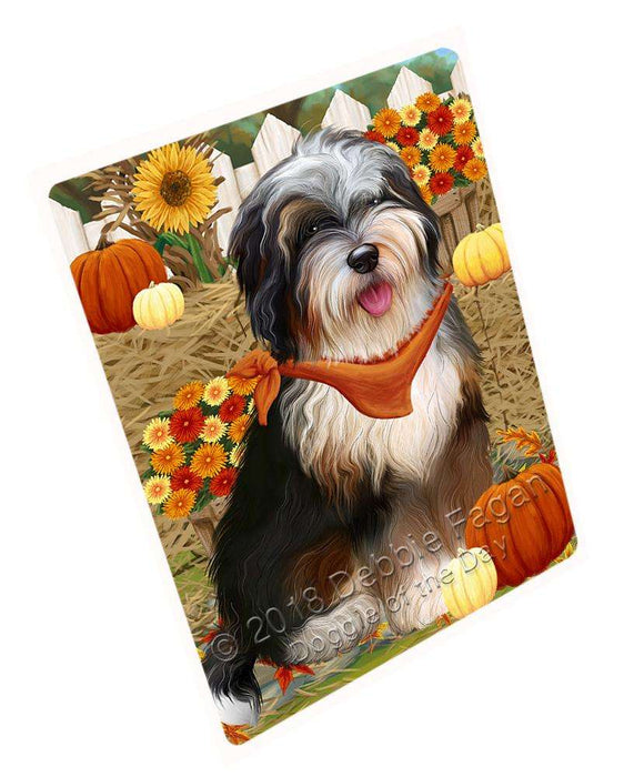 Fall Autumn Greeting Bernedoodle Dog with Pumpkins Cutting Board C56469