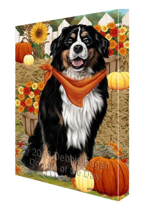Fall Autumn Greeting Bernese Mountain Dog with Pumpkins Canvas Print Wall Art Décor CVS72386