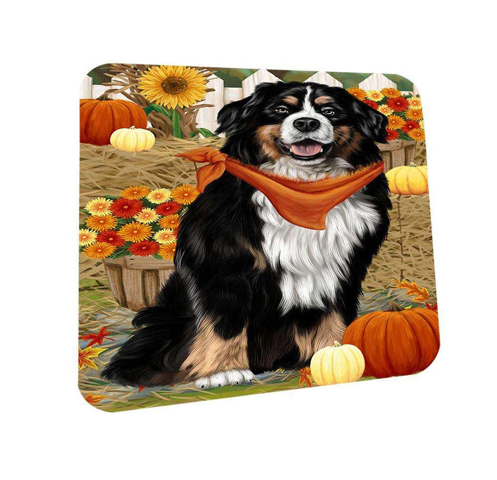 Fall Autumn Greeting Bernese Mountain Dog with Pumpkins Coasters Set of 4 CST50632