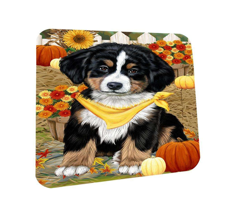 Fall Autumn Greeting Bernese Mountain Dog with Pumpkins Coasters Set of 4 CST50633