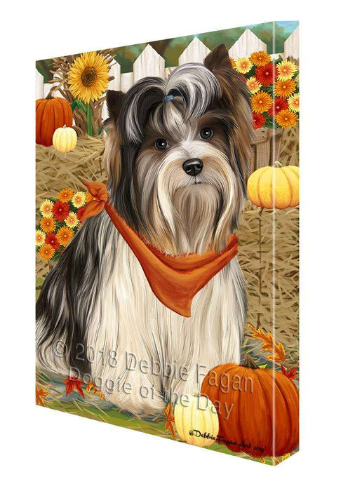 Fall Autumn Greeting Biewer Terrier Dog with Pumpkins Canvas Print Wall Art Décor CVS87569