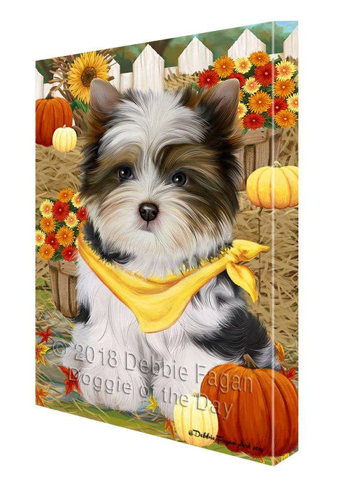 Fall Autumn Greeting Biewer Terrier Dog with Pumpkins Canvas Print Wall Art Décor CVS87578