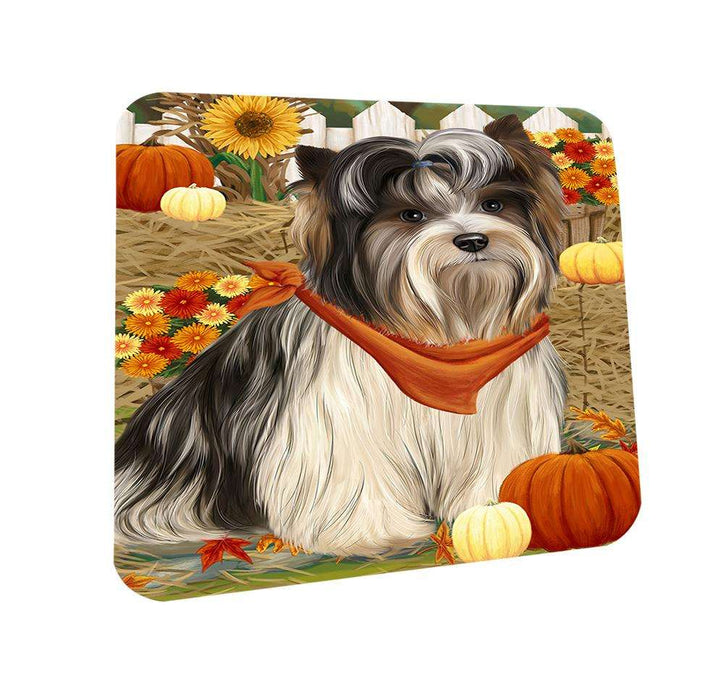 Fall Autumn Greeting Biewer Terrier Dog with Pumpkins Coasters Set of 4 CST52267