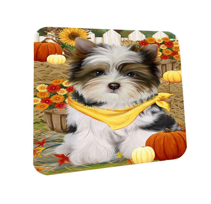 Fall Autumn Greeting Biewer Terrier Dog with Pumpkins Coasters Set of 4 CST52268