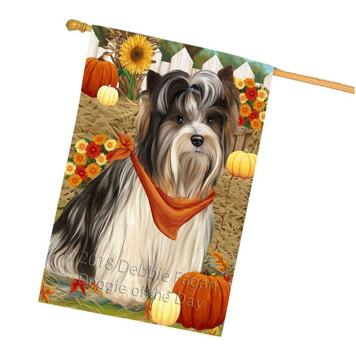Fall Autumn Greeting Biewer Terrier Dog with Pumpkins House Flag FLG52389