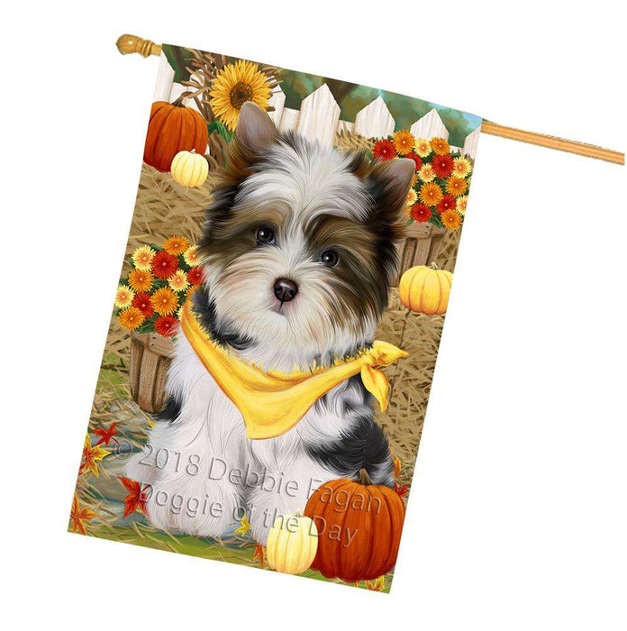 Fall Autumn Greeting Biewer Terrier Dog with Pumpkins House Flag FLG52390