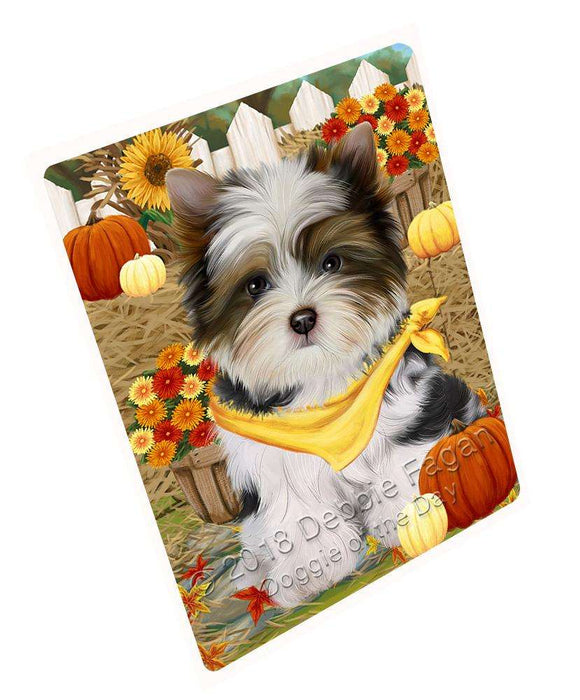 Fall Autumn Greeting Biewer Terrier Dog With Pumpkins Magnet Mini (3.5" x 2") MAG61020