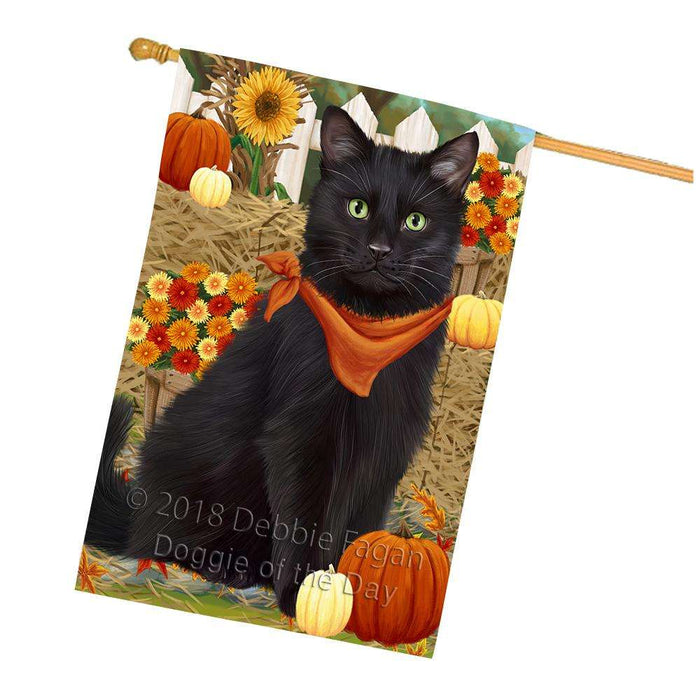 Fall Autumn Greeting Black Cat with Pumpkins House Flag FLG52391