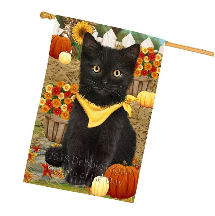 Fall Autumn Greeting Black Cat with Pumpkins House Flag FLG52392