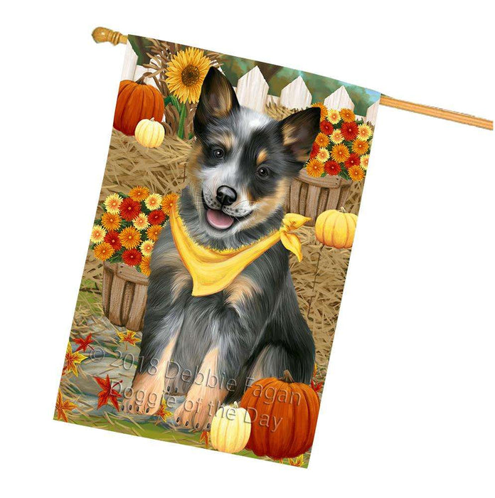 Fall Autumn Greeting Blue Heeler Dog with Pumpkins House Flag FLG52394