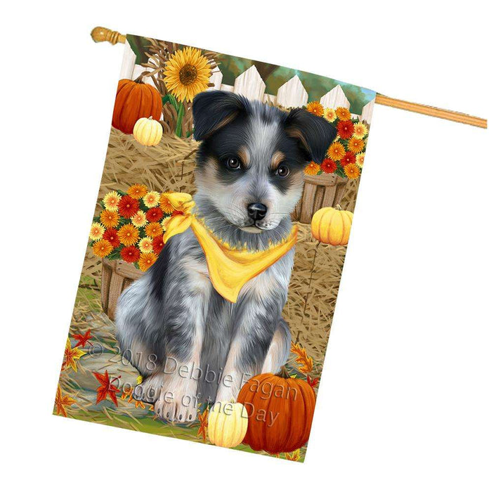 Fall Autumn Greeting Blue Heeler Dog with Pumpkins House Flag FLG52395