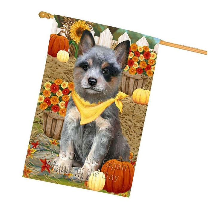 Fall Autumn Greeting Blue Heeler Dog with Pumpkins House Flag FLG52396