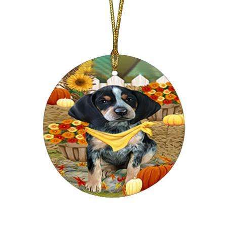 Fall Autumn Greeting Bluetick Coonhound Dog with Pumpkins Round Flat Christmas Ornament RFPOR50669