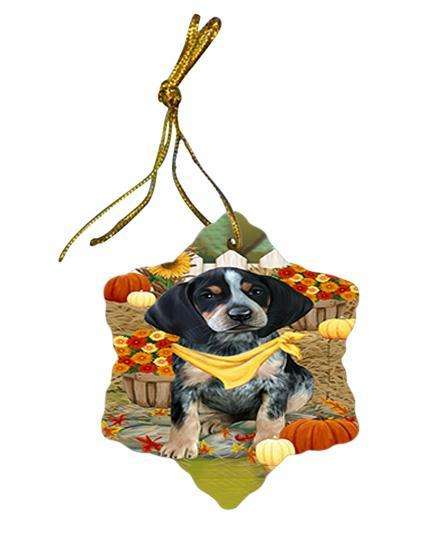 Fall Autumn Greeting Bluetick Coonhound Dog with Pumpkins Star Porcelain Ornament SPOR50670
