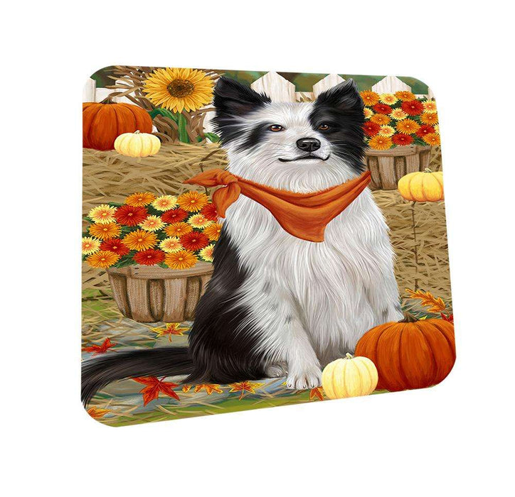 Fall Autumn Greeting Border Collie Dog with Pumpkins Coasters Set of 4 CST50638