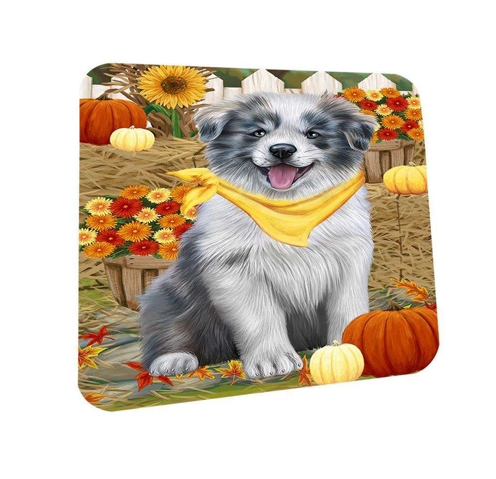 Fall Autumn Greeting Border Collie Dog with Pumpkins Coasters Set of 4 CST50641