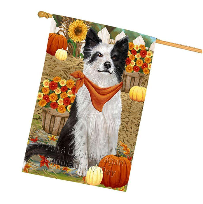 Fall Autumn Greeting Border Collie Dog with Pumpkins House Flag FLG50708