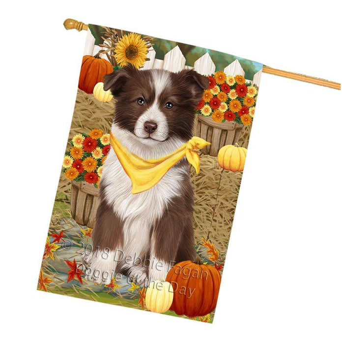 Fall Autumn Greeting Border Collie Dog with Pumpkins House Flag FLG50709