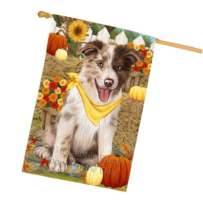 Fall Autumn Greeting Border Collie Dog with Pumpkins House Flag FLG50710