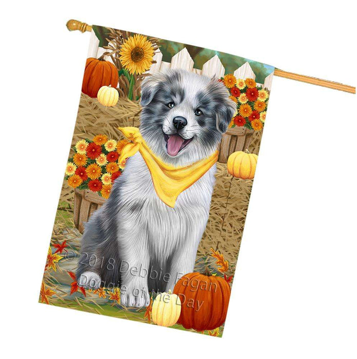 Fall Autumn Greeting Border Collie Dog with Pumpkins House Flag FLG50711