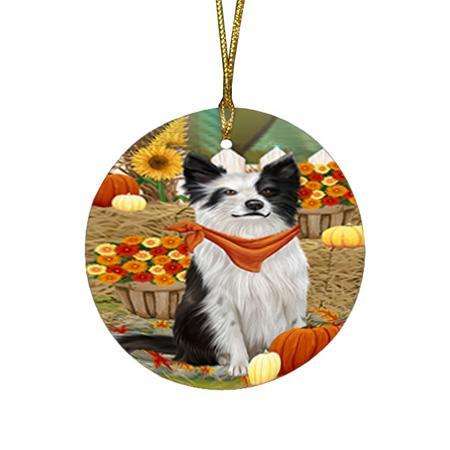 Fall Autumn Greeting Border Collie Dog with Pumpkins Round Flat Christmas Ornament RFPOR50670