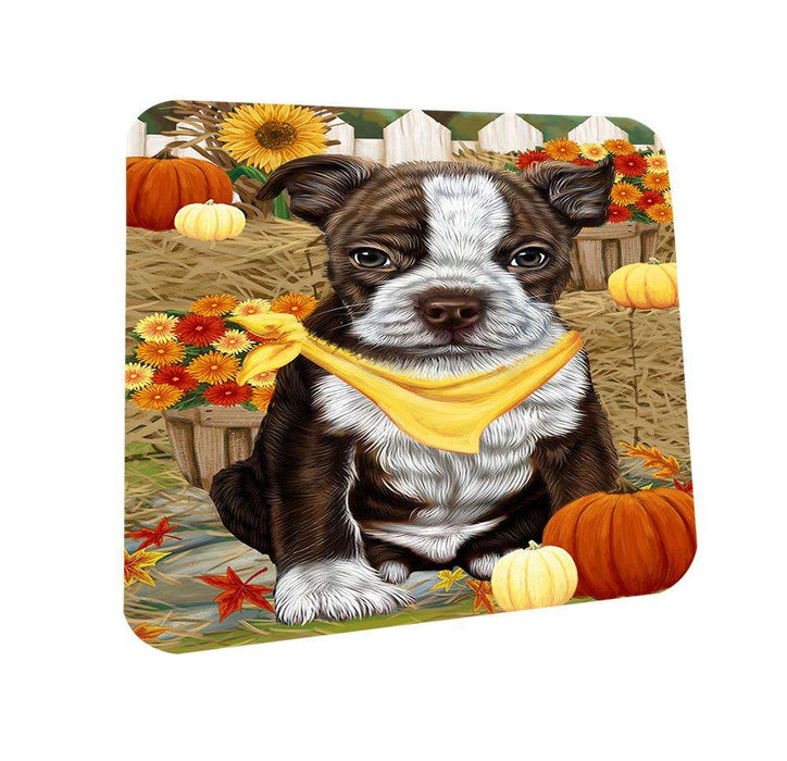 Fall Autumn Greeting Boston Terrier Dog with Pumpkins Coasters Set of 4 CST50645