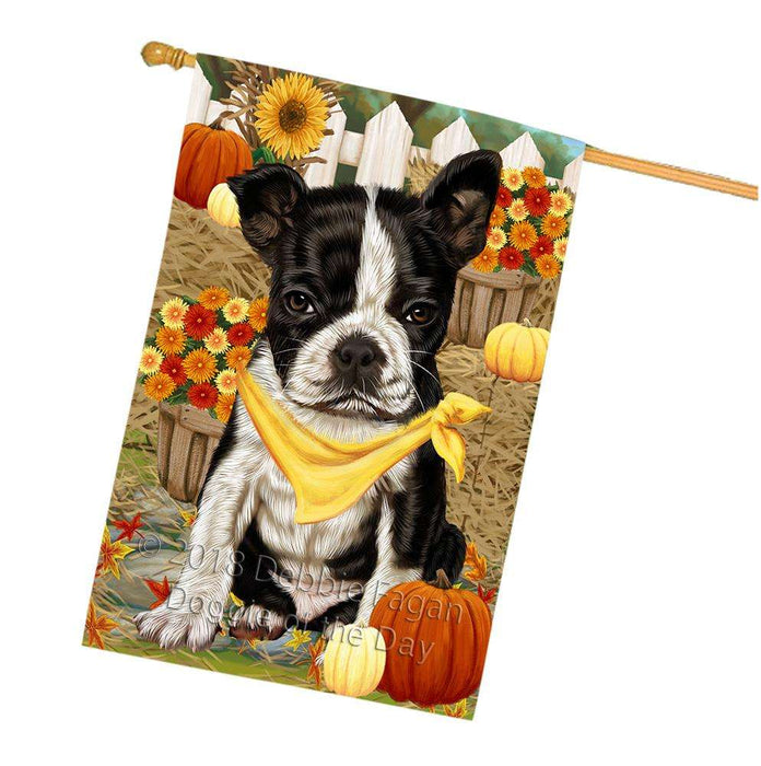 Fall Autumn Greeting Boston Terrier Dog with Pumpkins House Flag FLG50714