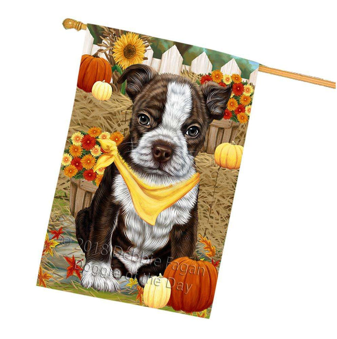 Fall Autumn Greeting Boston Terrier Dog with Pumpkins House Flag FLG50715
