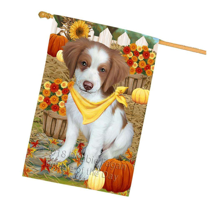 Fall Autumn Greeting Brittany Spaniel Dog with Pumpkins House Flag FLG50720