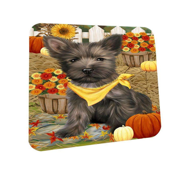 Fall Autumn Greeting Cairn Terrier Dog with Pumpkins Coasters Set of 4 CST50662