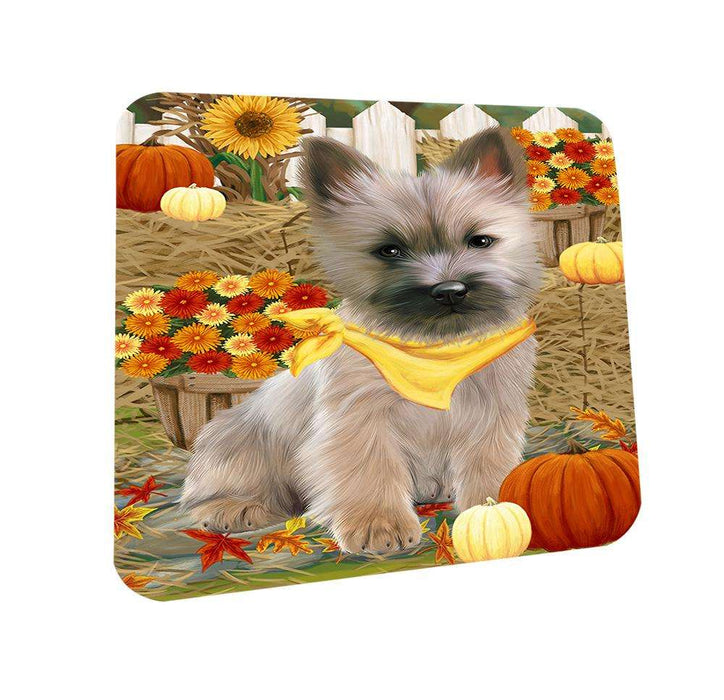 Fall Autumn Greeting Cairn Terrier Dog with Pumpkins Coasters Set of 4 CST50663