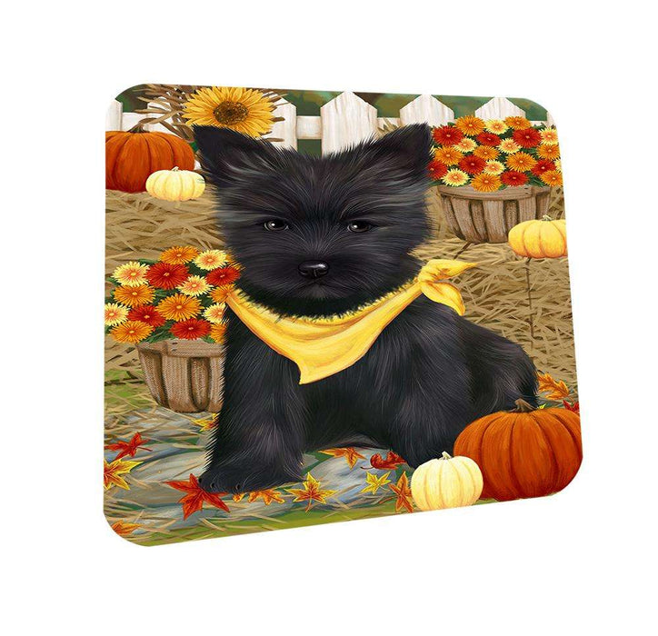 Fall Autumn Greeting Cairn Terrier Dog with Pumpkins Coasters Set of 4 CST50664