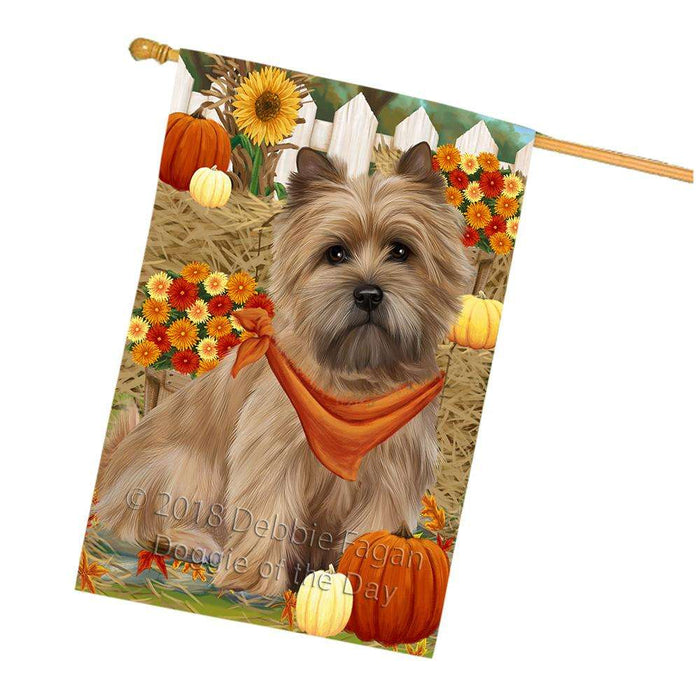 Fall Autumn Greeting Cairn Terrier Dog with Pumpkins House Flag FLG50731