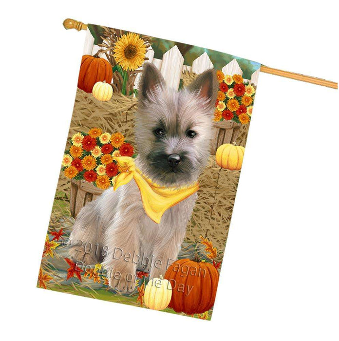 Fall Autumn Greeting Cairn Terrier Dog with Pumpkins House Flag FLG50733