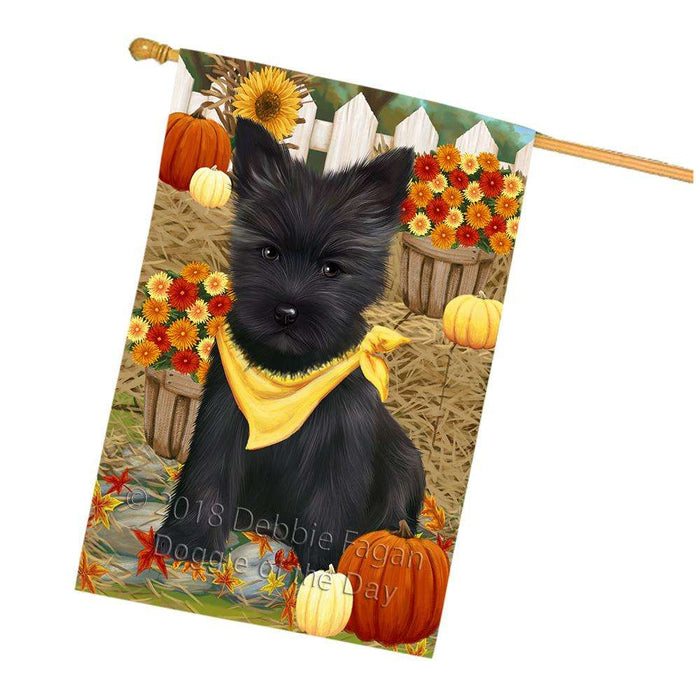 Fall Autumn Greeting Cairn Terrier Dog with Pumpkins House Flag FLG50734