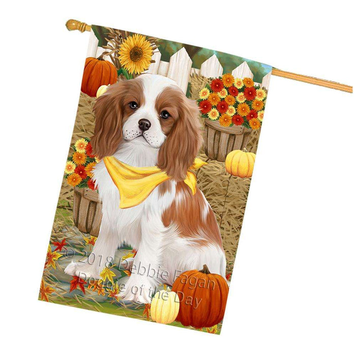 Fall Autumn Greeting Cavalier King Charles Spaniel Dog with Pumpkins House Flag FLG50736
