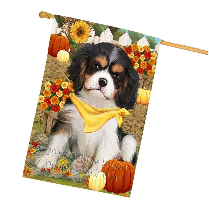 Fall Autumn Greeting Cavalier King Charles Spaniel Dog with Pumpkins House Flag FLG50737