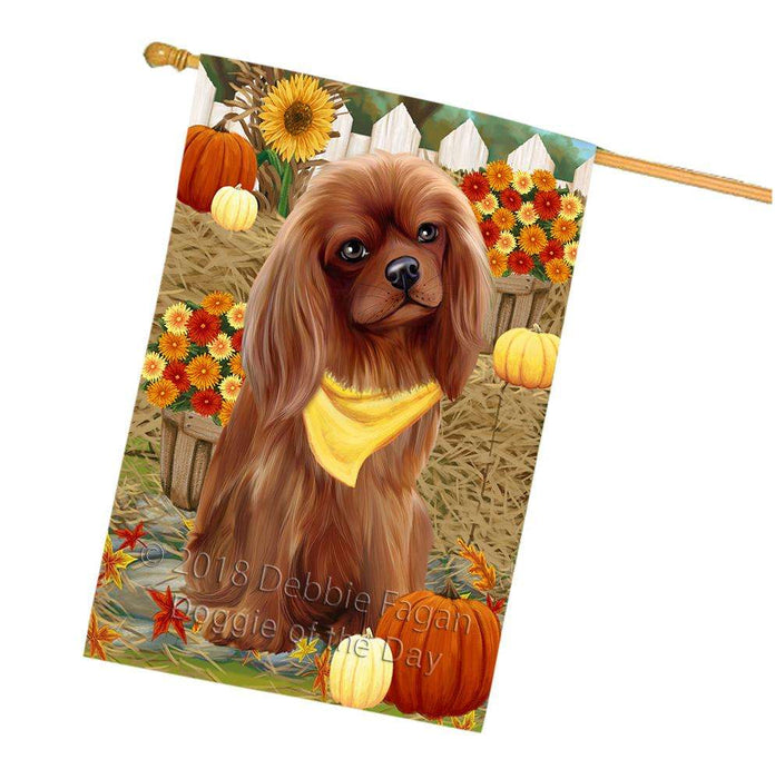 Fall Autumn Greeting Cavalier King Charles Spaniel Dog with Pumpkins House Flag FLG50738