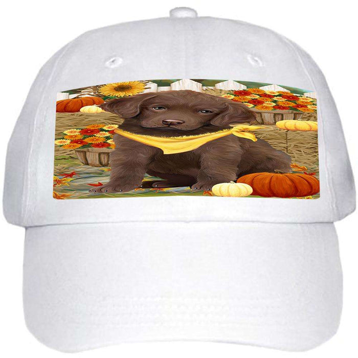 Fall Autumn Greeting Chesapeake Bay Retriever Dog with Pumpkins Ball Hat Cap HAT55911