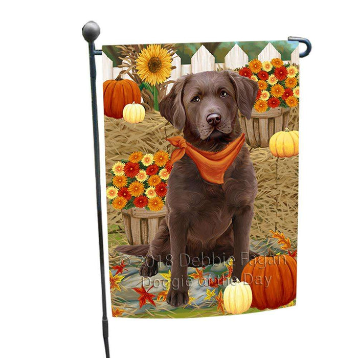 Fall Autumn Greeting Chesapeake Bay Retriever Dog with Pumpkins Garden Flag GFLG0604