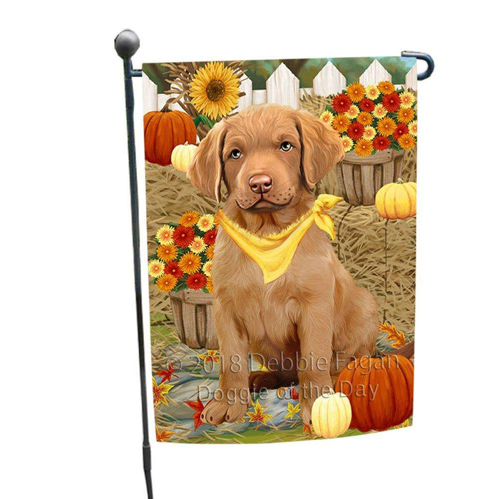 Fall Autumn Greeting Chesapeake Bay Retriever Dog with Pumpkins Garden Flag GFLG0605