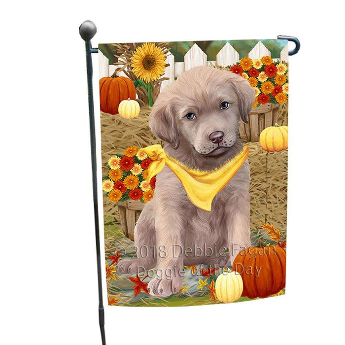 Fall Autumn Greeting Chesapeake Bay Retriever Dog with Pumpkins Garden Flag GFLG0606