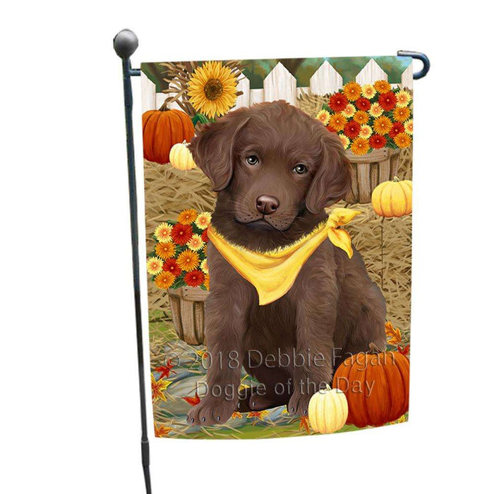 Fall Autumn Greeting Chesapeake Bay Retriever Dog with Pumpkins Garden Flag GFLG0607