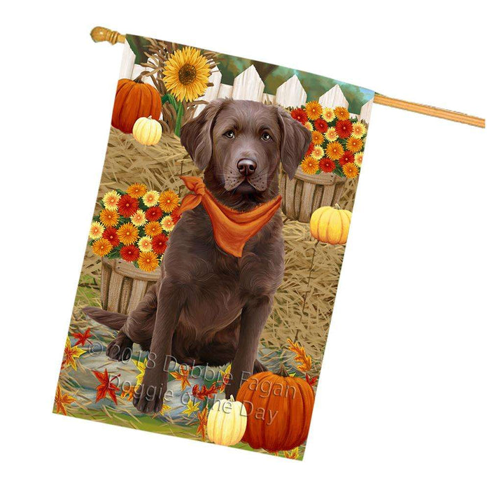 Fall Autumn Greeting Chesapeake Bay Retriever Dog with Pumpkins House Flag FLG50740