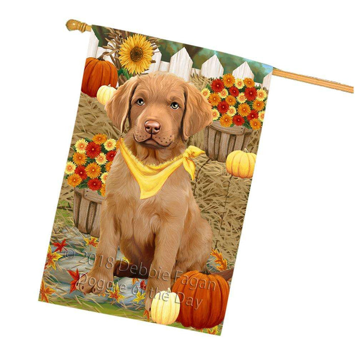 Fall Autumn Greeting Chesapeake Bay Retriever Dog with Pumpkins House Flag FLG50741