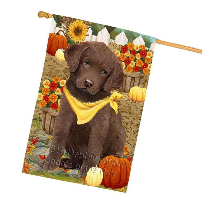 Fall Autumn Greeting Chesapeake Bay Retriever Dog with Pumpkins House Flag FLG50743