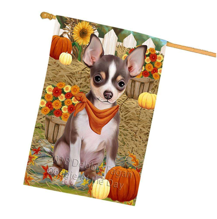 Fall Autumn Greeting Chihuahua Dog with Pumpkins House Flag FLG50744