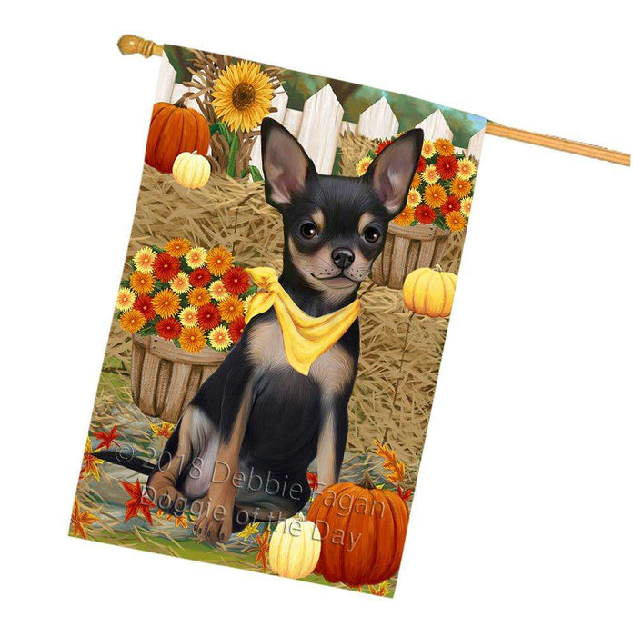 Fall Autumn Greeting Chihuahua Dog with Pumpkins House Flag FLG50745