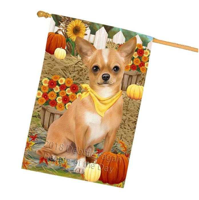 Fall Autumn Greeting Chihuahua Dog with Pumpkins House Flag FLG50746