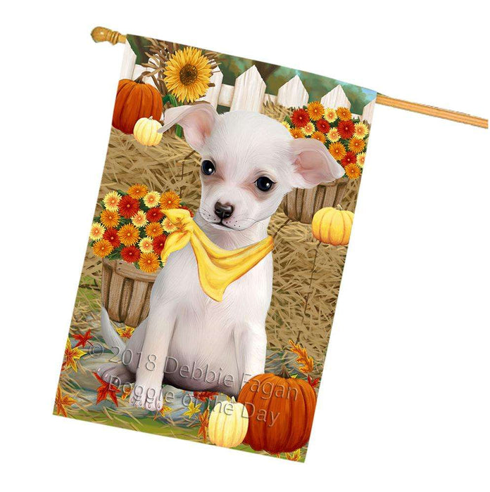 Fall Autumn Greeting Chihuahua Dog with Pumpkins House Flag FLG50747